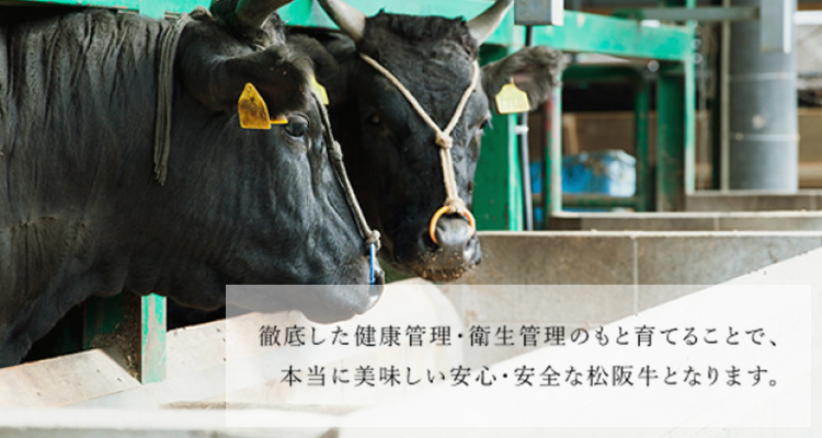自家牧場の松阪牛