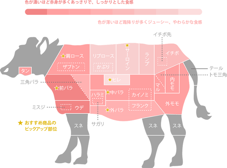 牛肉の部位を肉の柔らかさと脂の量で色分けした図